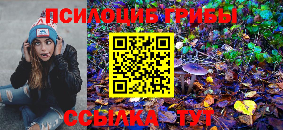 Лесосибирск  Галлюциногенные грибы мицелий  Вход с VPN  Галлюциногенные грибы мицелий 
