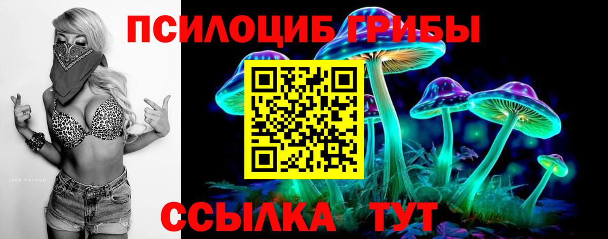 Псилоцибиновые грибы Magic Shrooms Лесосибирск