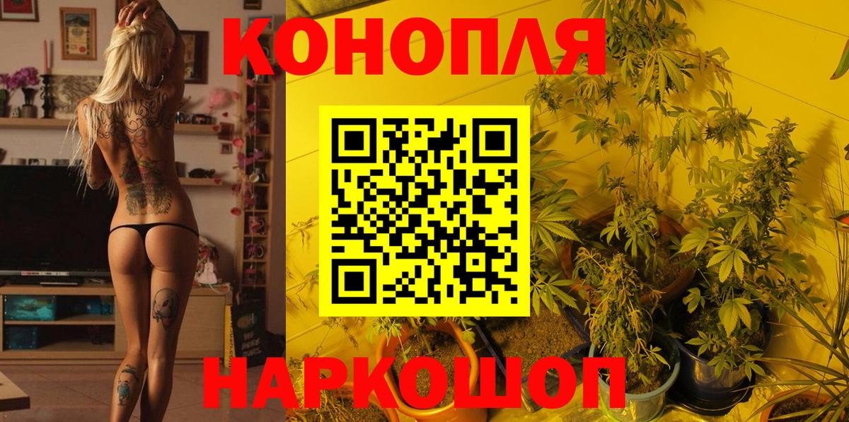 Шишки марихуана сатива Лесосибирск